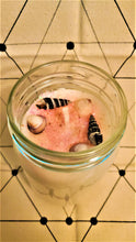 Load image into Gallery viewer, Pink Sands 12 oz. Soy Wax Candle
